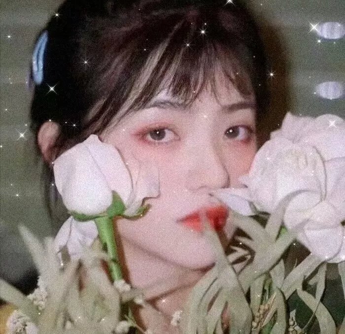 黑暗收成 封面