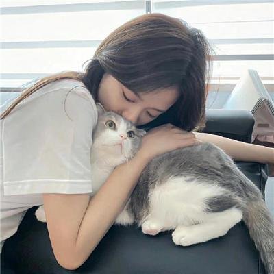 恶搞之家第三季 封面